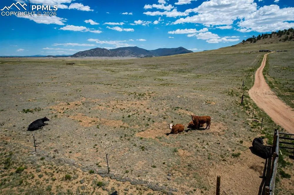 1888 Lakeview Drive Lake George, CO 80827