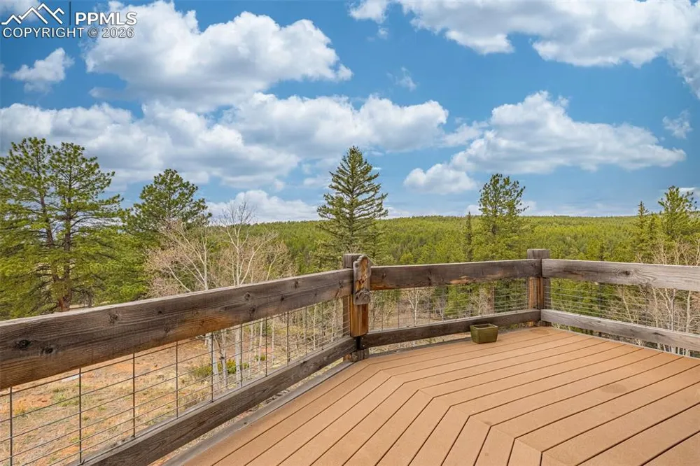1736 COUNTY ROAD 3 ROAD Florissant, CO 80816