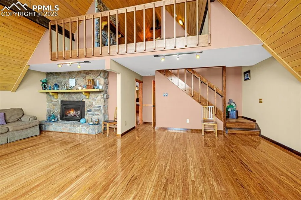 1736 COUNTY ROAD 3 ROAD Florissant, CO 80816