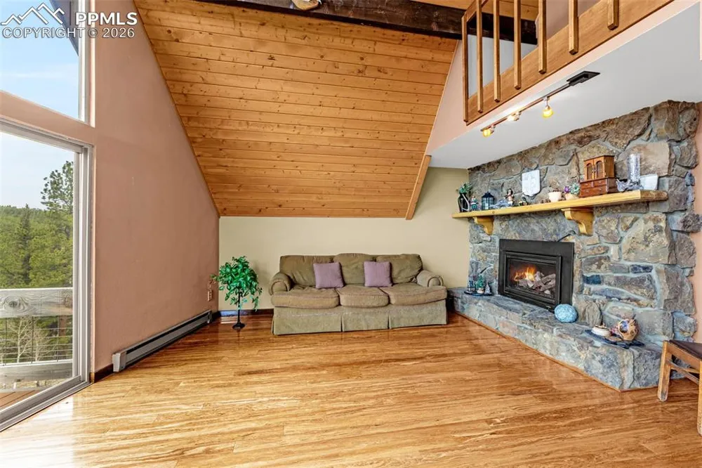 1736 COUNTY ROAD 3 ROAD Florissant, CO 80816