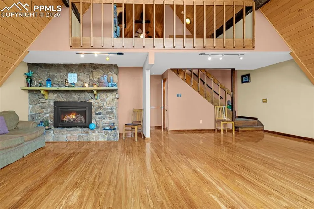 1736 COUNTY ROAD 3 ROAD Florissant, CO 80816