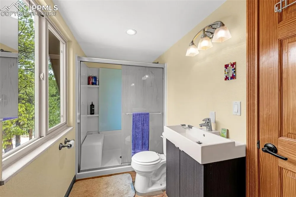 1736 COUNTY ROAD 3 ROAD Florissant, CO 80816