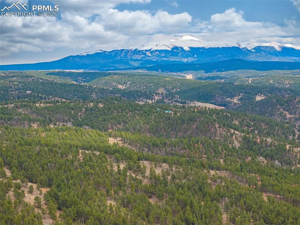 1736 COUNTY ROAD 3 ROAD Florissant, CO 80816
