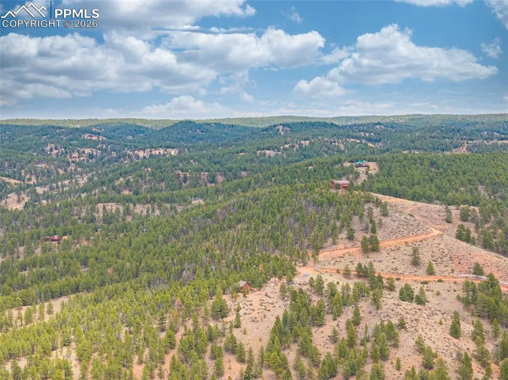 1736 COUNTY ROAD 3 ROAD Florissant, CO 80816