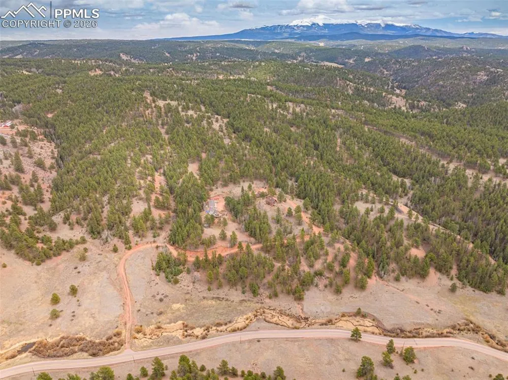 1736 COUNTY ROAD 3 ROAD Florissant, CO 80816