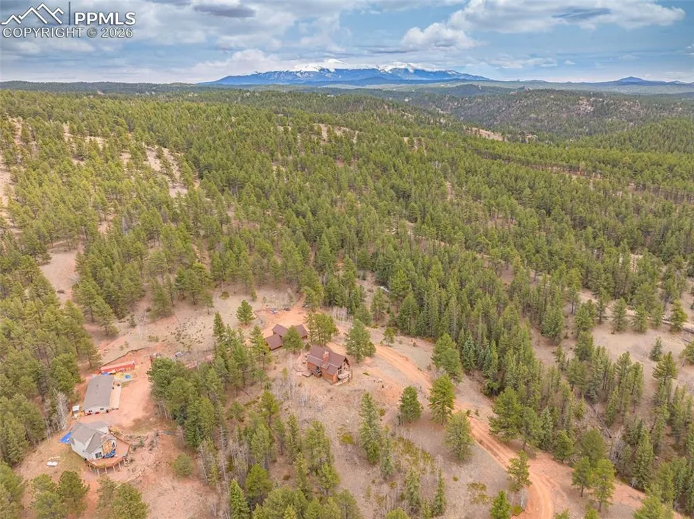 1736 COUNTY ROAD 3 ROAD Florissant, CO 80816