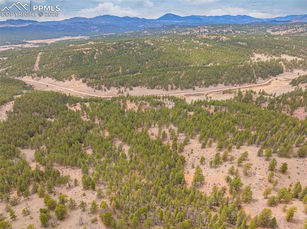 1736 COUNTY ROAD 3 ROAD Florissant, CO 80816