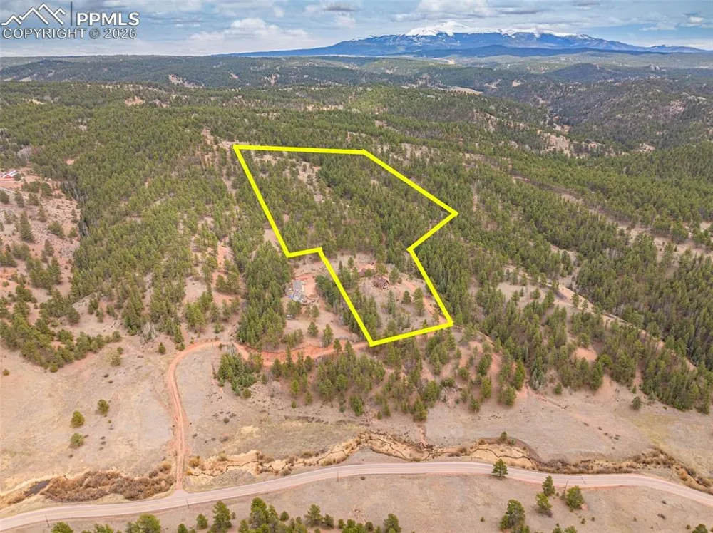1736 COUNTY ROAD 3 ROAD Florissant, CO 80816