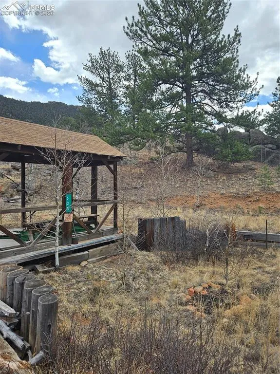 635 Sleepy Joe Drive Lake George, CO 80827