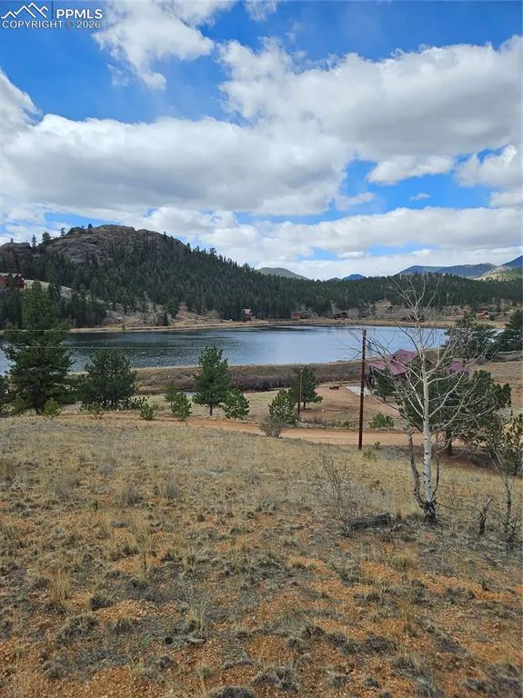 635 Sleepy Joe Drive Lake George, CO 80827