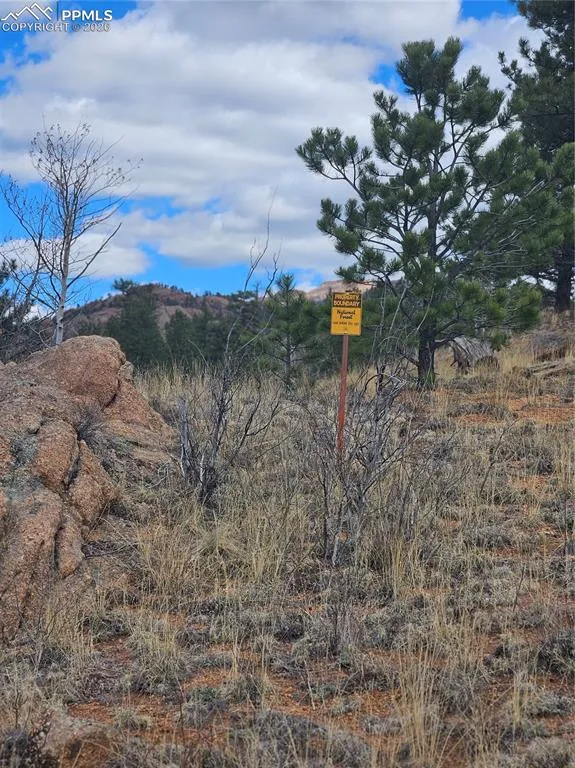 635 Sleepy Joe Drive Lake George, CO 80827