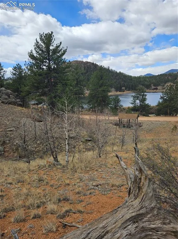635 Sleepy Joe Drive Lake George, CO 80827