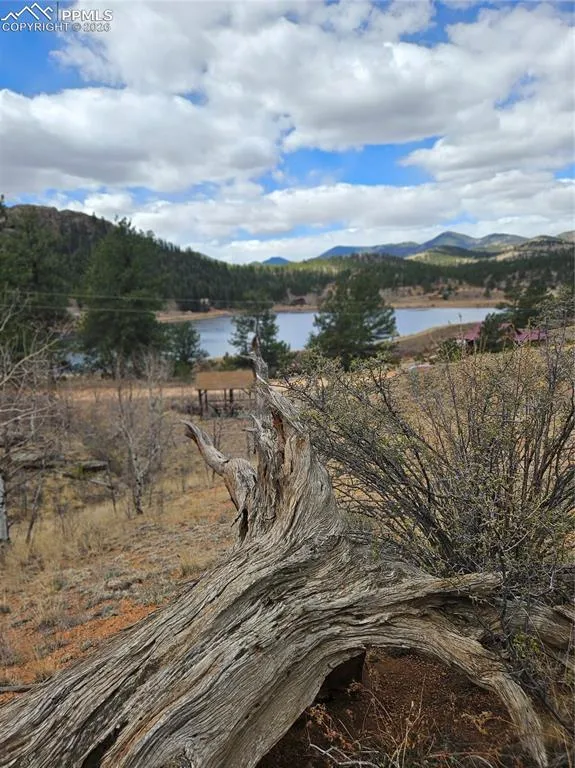 635 Sleepy Joe Drive Lake George, CO 80827