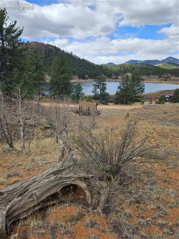 635 Sleepy Joe Drive Lake George, CO 80827