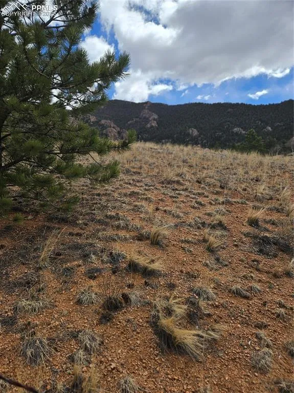 635 Sleepy Joe Drive Lake George, CO 80827
