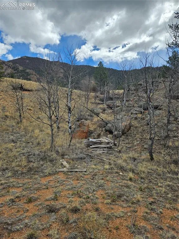 635 Sleepy Joe Drive Lake George, CO 80827