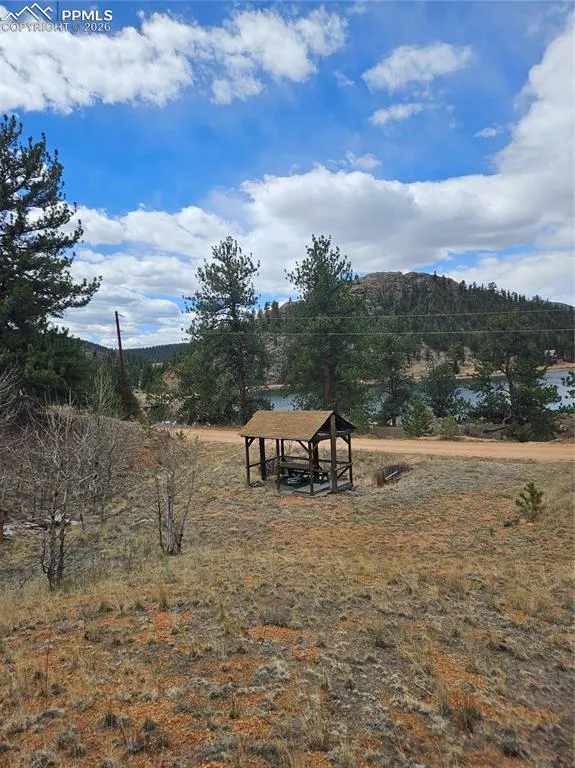 635 Sleepy Joe Drive Lake George, CO 80827