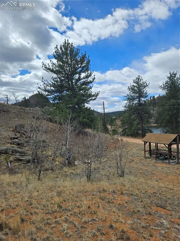 635 Sleepy Joe Drive Lake George, CO 80827