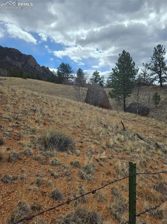 635 Sleepy Joe Drive Lake George, CO 80827