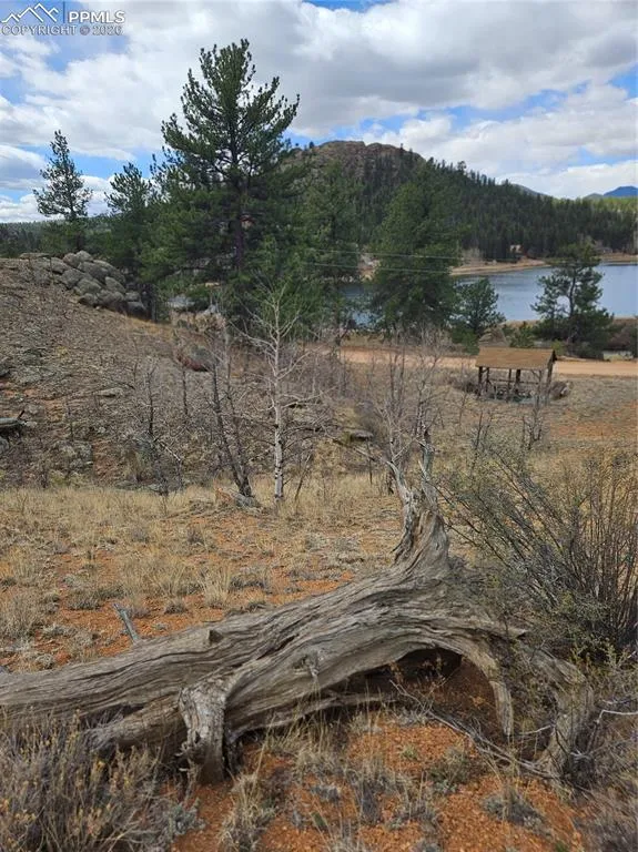 635 Sleepy Joe Drive Lake George, CO 80827