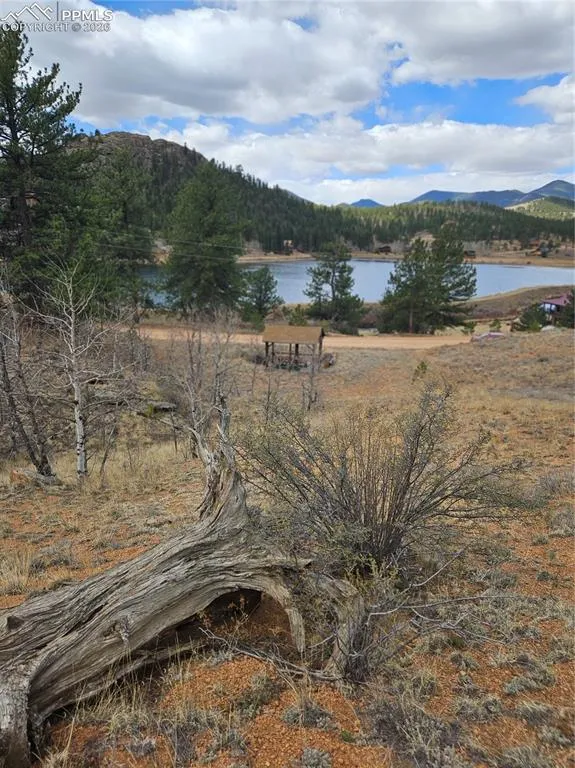635 Sleepy Joe Drive Lake George, CO 80827