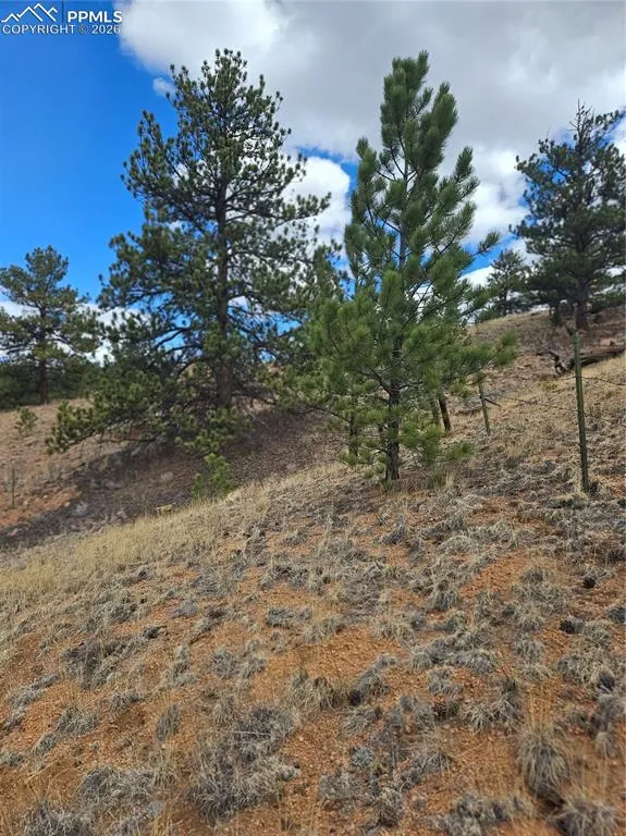 635 Sleepy Joe Drive Lake George, CO 80827