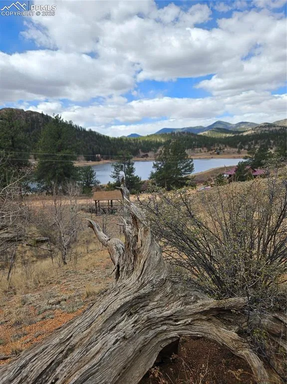 635 Sleepy Joe Drive Lake George, CO 80827