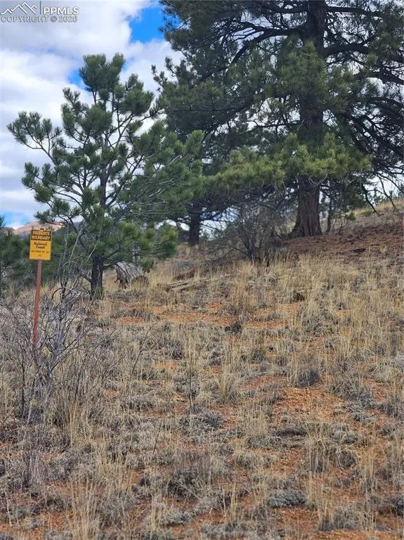 635 Sleepy Joe Drive Lake George, CO 80827