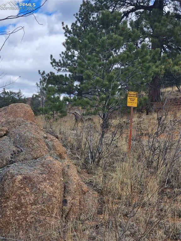 635 Sleepy Joe Drive Lake George, CO 80827