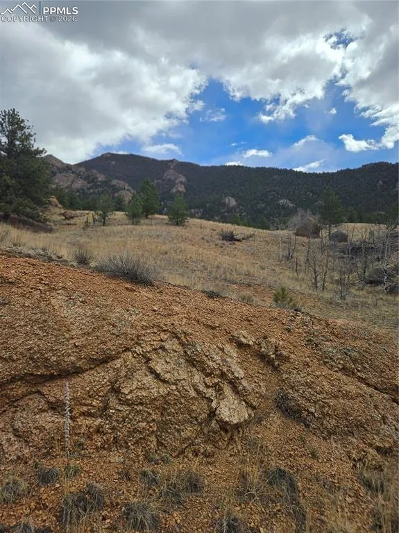 635 Sleepy Joe Drive Lake George, CO 80827