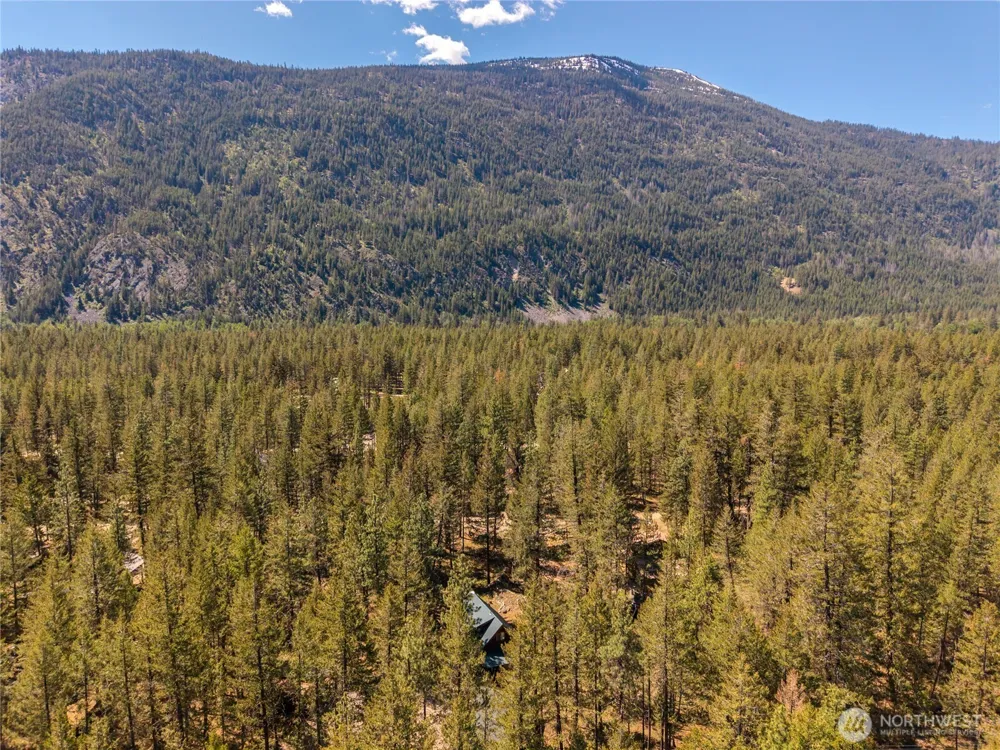 651 Lost River Rd Mazama, WA 98833