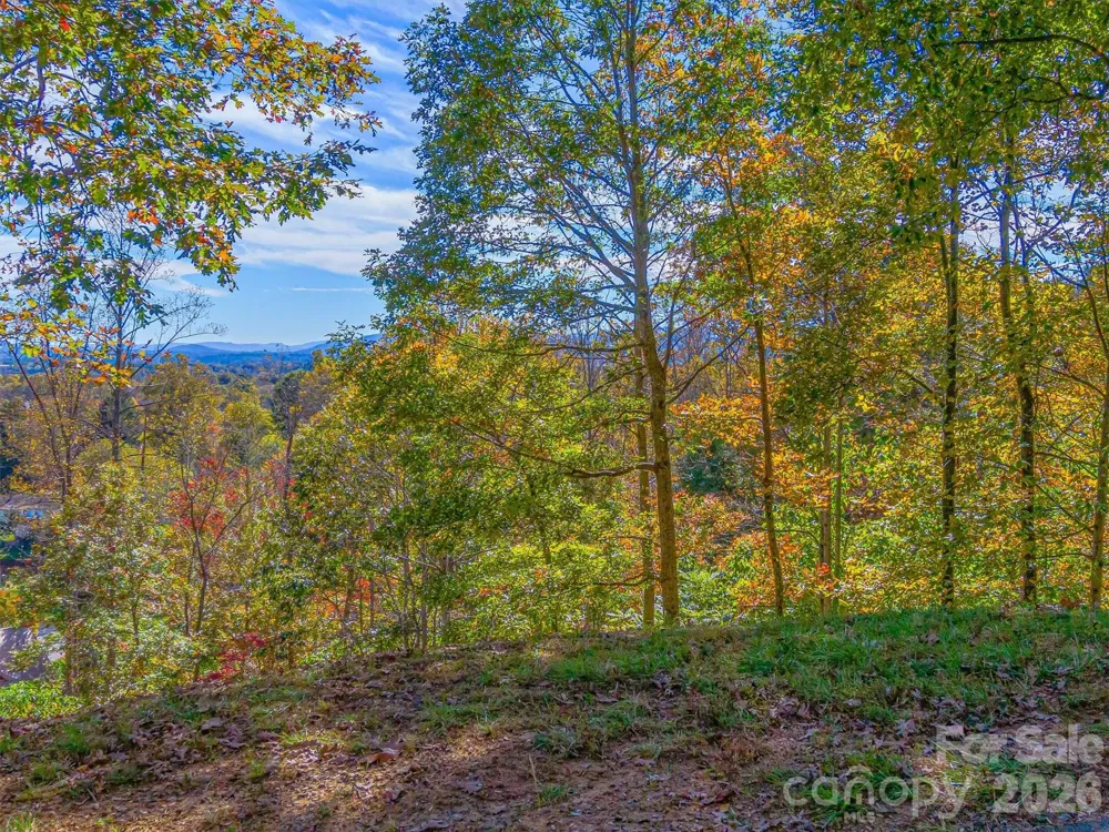 17 Denali Drive #V-108 Asheville, NC 28806