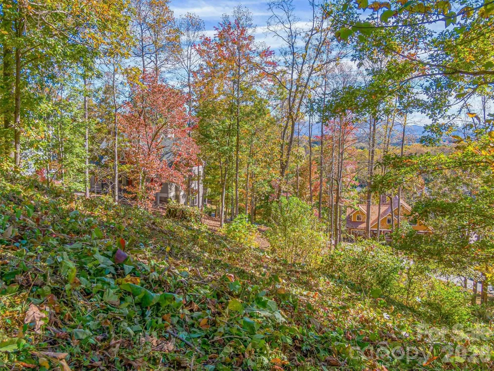 17 Denali Drive #V-108 Asheville, NC 28806