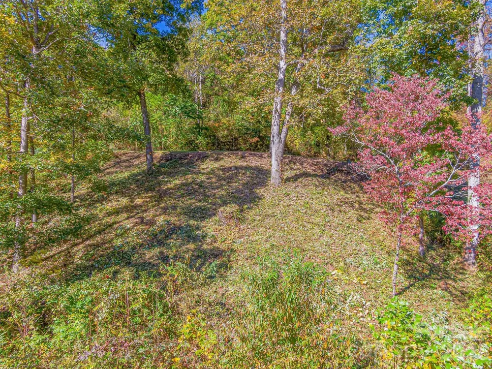 17 Denali Drive #V-108 Asheville, NC 28806
