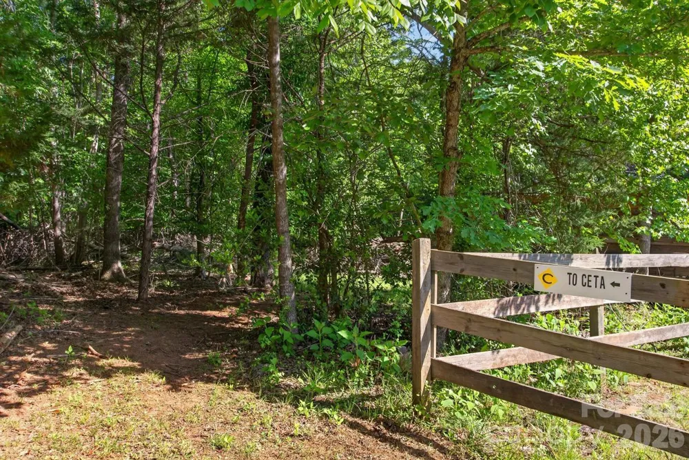 3205 Collinsville Road Columbus, NC 28722