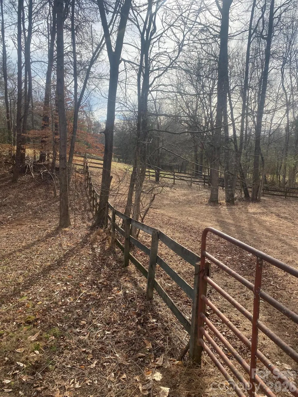 3205 Collinsville Road Columbus, NC 28722
