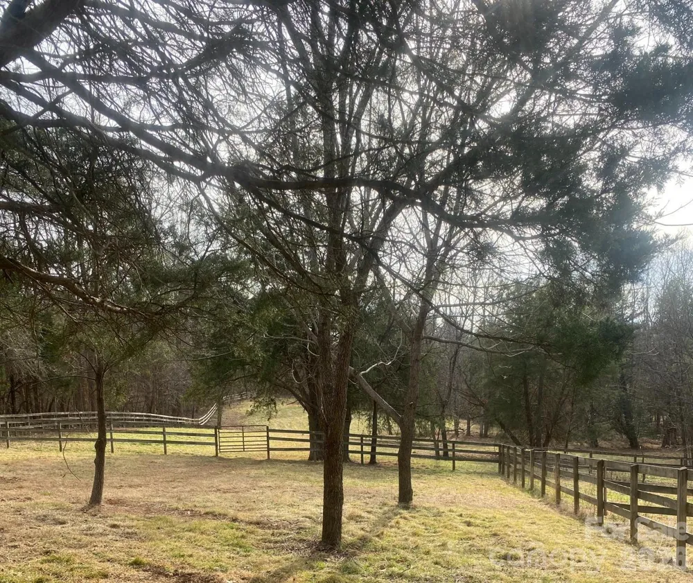 3205 Collinsville Road Columbus, NC 28722