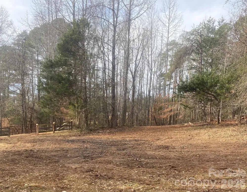 3205 Collinsville Road Columbus, NC 28722