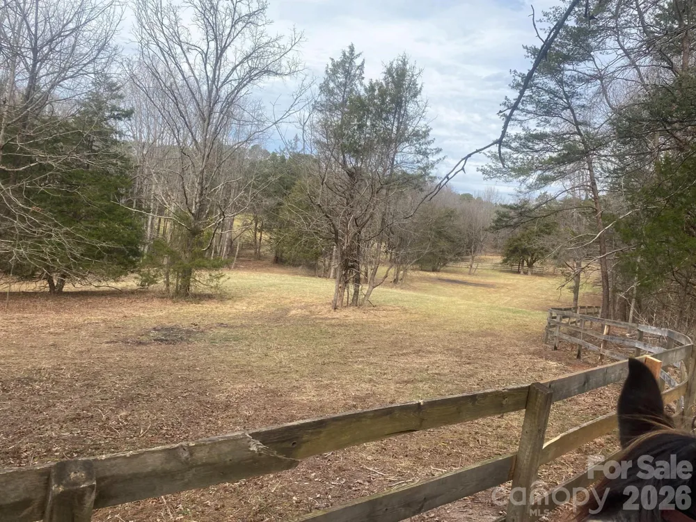 3205 Collinsville Road Columbus, NC 28722