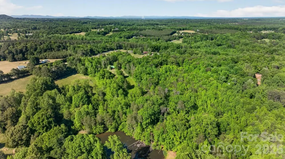 3205 Collinsville Road Columbus, NC 28722