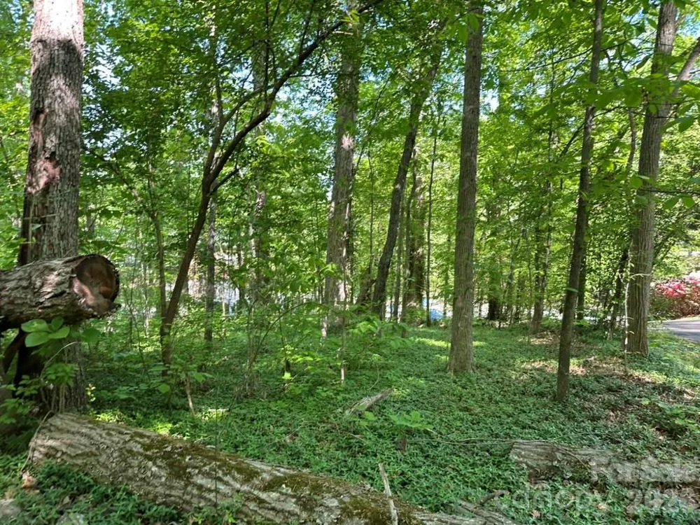 0 Lawton Lane Salisbury, NC 28144