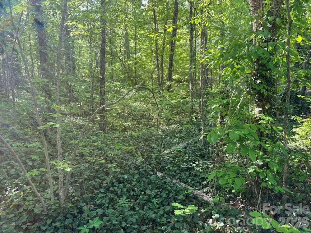 0 Lawton Lane Salisbury, NC 28144