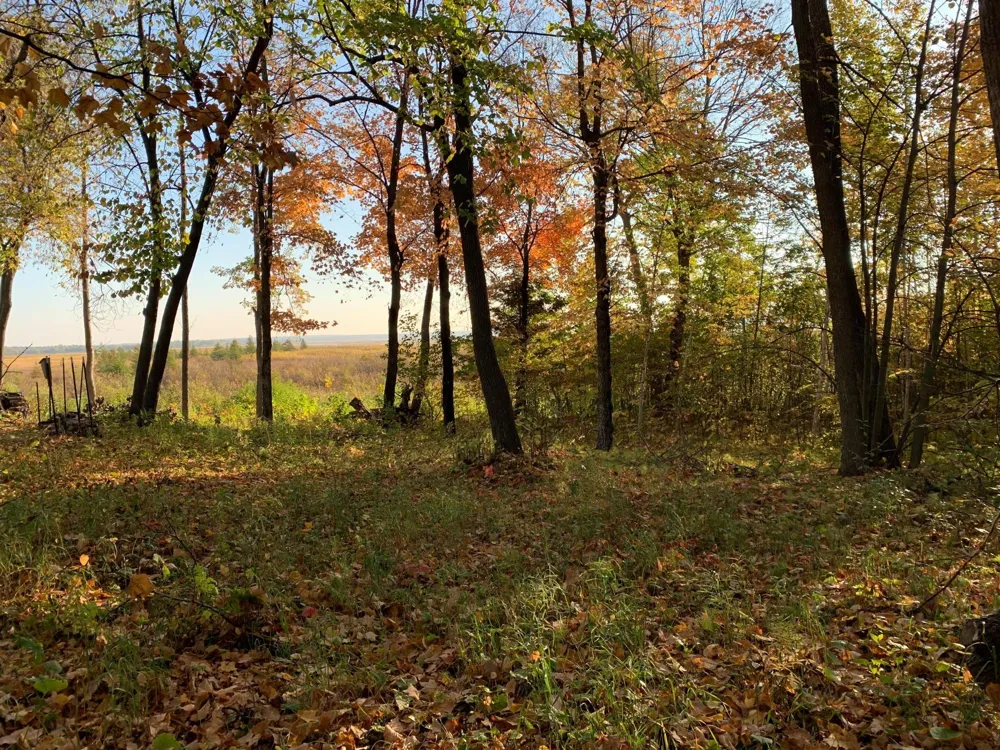 TBD Grouse Loop NW Walker, MN 56484