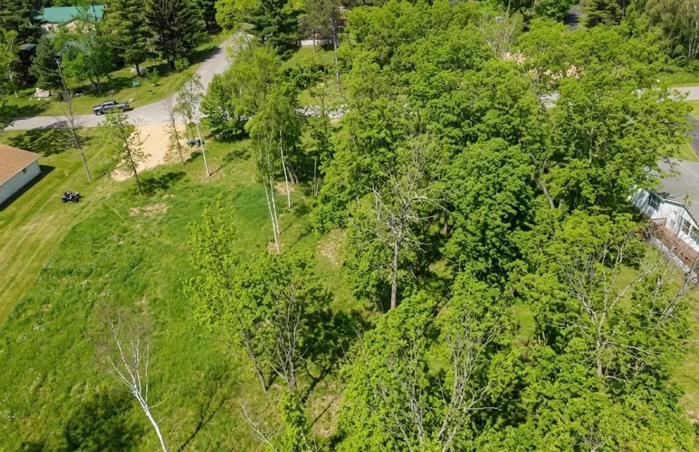 TBD Grouse Loop NW Walker, MN 56484
