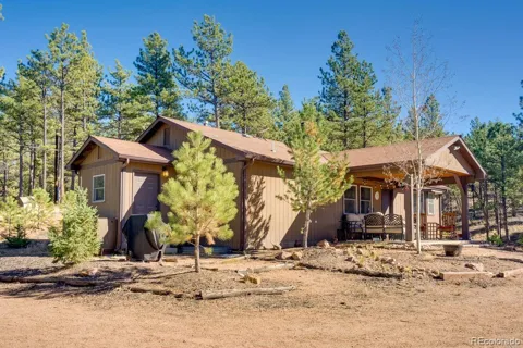 1110 Pikes Peak Drive