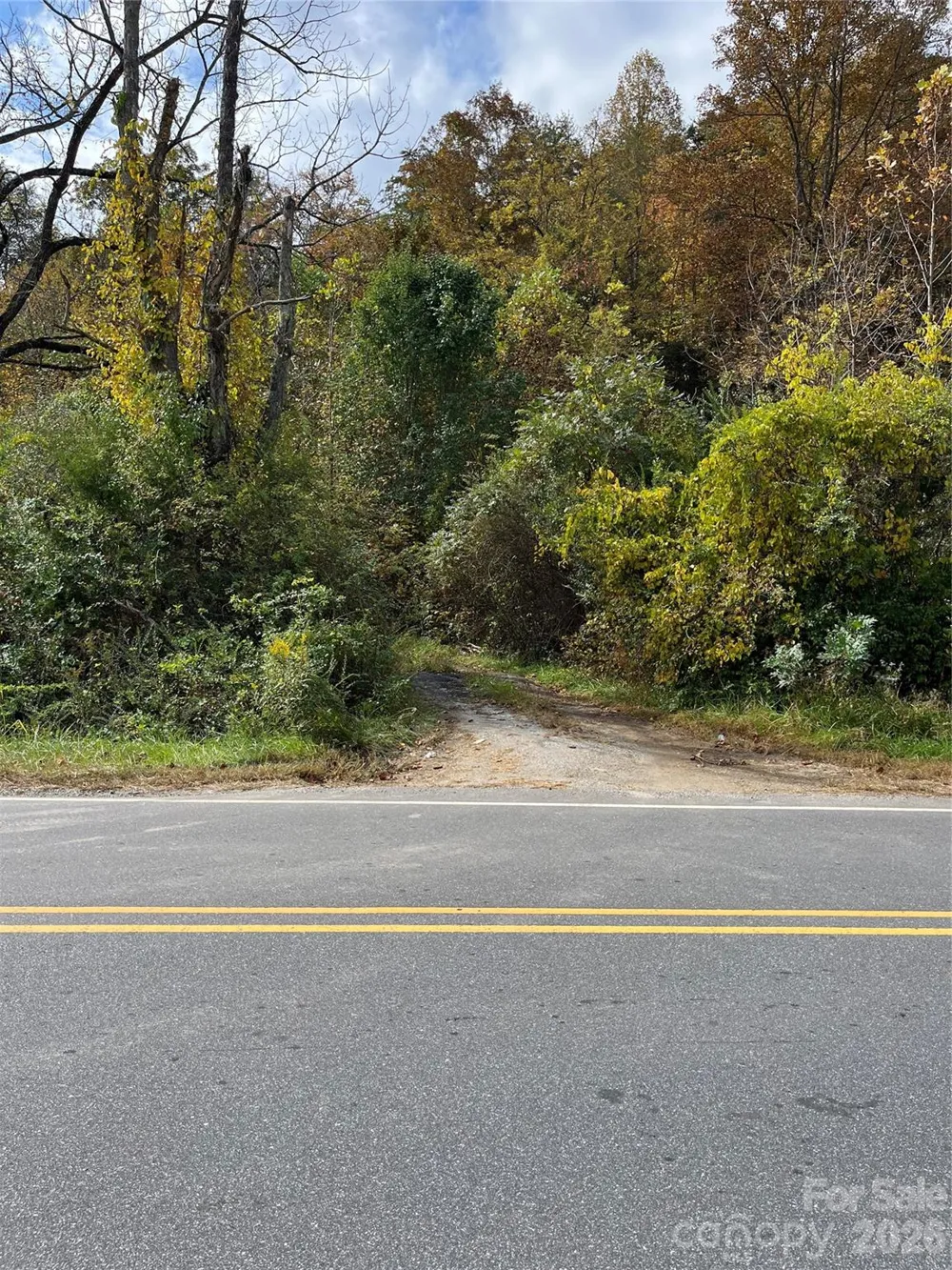 1409 US 441 Highway Whittier, NC 28789