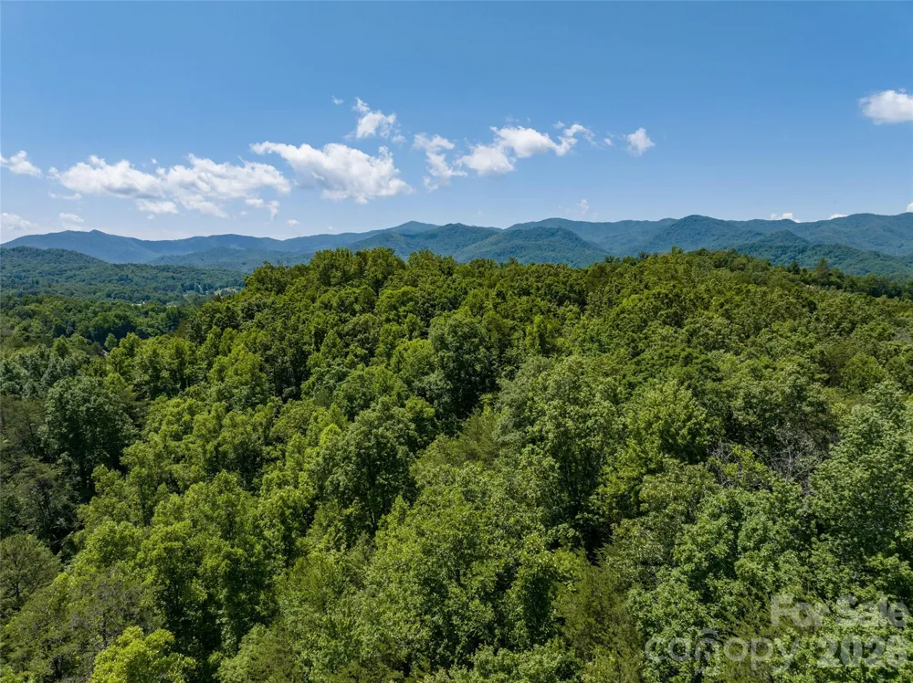 1409 US 441 Highway Whittier, NC 28789