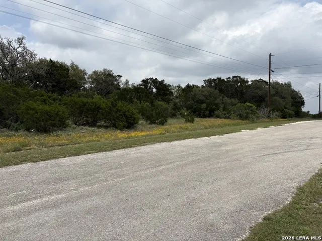 460 County Road 2753 Mico, TX 78056