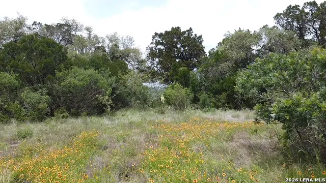 460 County Road 2753 Mico, TX 78056
