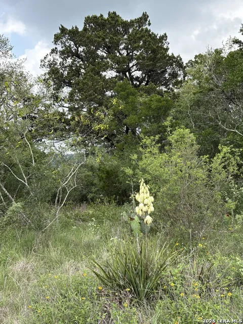 460 County Road 2753 Mico, TX 78056